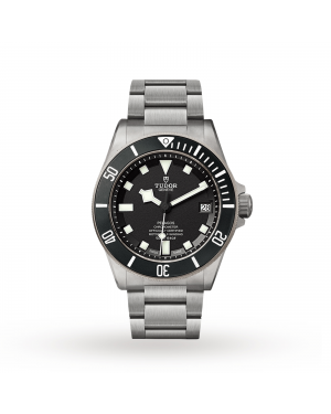 Swiss Tudor Pelagos