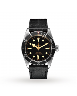 Tudor Black Bay