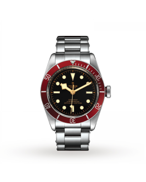Tudor Black Bay