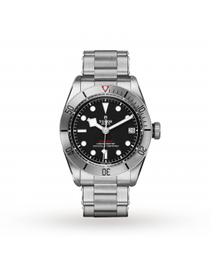 Tudor Black Bay Steel