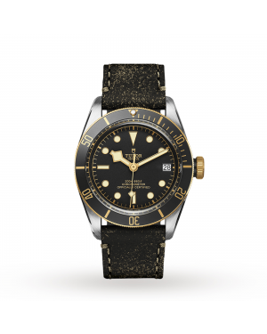 Tudor Black Bay S&G