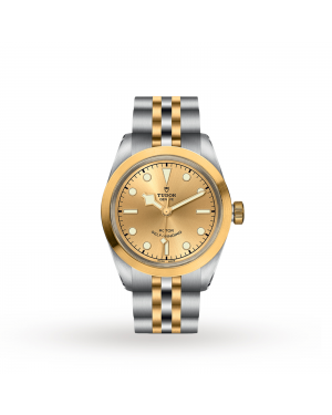 Tudor Black Bay 32 S&G