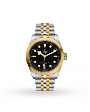 Swiss Tudor Black Bay 41 S&G