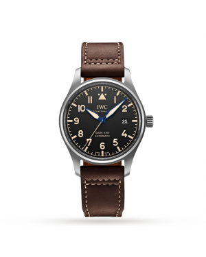 Swiss IWC Pilot's Heritage 40mm Mens Watch IW327006