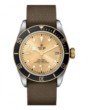AAA Replica Tudor Black Bay S&G 41mm Mens Watch M79733N-0006