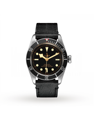 Tudor Black Bay