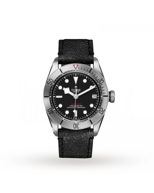 Tudor Black Bay Steel