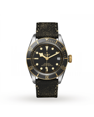 Tudor Black Bay S&G