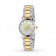 Designer G-Timeless 27mm Ladies Watch YA1265012