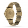 Designer G-Timeless Slim Bee Ladies Watch YA1264155