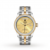 Tudor Glamour Date & Day