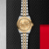 Tudor Black Bay 32 S&G