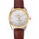 Omega Globemaster Silver Dial Gold Bezel Stainless Steel Case Brown Leather Strap