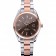 Omega Seamaster Brown Dial Two Tone 622168