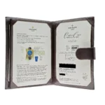 Replica Patek Philippe Celestial Grand Complications 5102J-001 Sky Chart Yello - Image 8