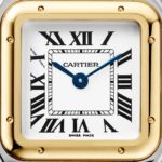 Cartier Panthere De Cartier Watch, Small Model, Quartz Movement, Yellow Gold, Steel  MPN: W2PN0018 - Image 3