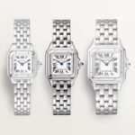 Cartier Panthère De Cartier Watch, Small Model, Quartz Movement, Steel  MPN: WSPN0013 - Image 7
