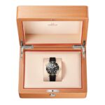 Omega Seamaster Diver 300M Automatic 42mm Mens Watch Yellow Gold  MPN: O21062422001003 - Image 4