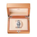 Omega Seamaster Railmaster 38mm Mens Watch Grey  MPN: O23510382006001 - Image 9