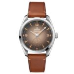 Omega Seamaster Railmaster 38mm Mens Watch Brown Leather  MPN: O23512382013001