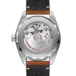 Omega Seamaster Railmaster 38mm Mens Watch Brown Leather  MPN: O23512382013001 - Image 2