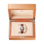 Omega Seamaster Railmaster 38mm Mens Watch Brown Leather  MPN: O23512382013001 - Image 6