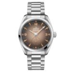 Omega Seamaster Railmaster 38mm Mens Watch Brown  MPN: O23510382013001