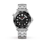 Omega Seamaster Diver 300 Co-Axial Mens Watch  MPN: O21030422001001