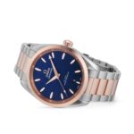 Omega Seamaster Aqua Terra Co-Axial Master Chronometer 38mm Ladies Watch  MPN: O22020382003001 - Image 3