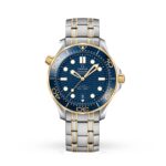 Omega Seamaster Diver 300M Co-Axial Master Chronometer 42mm Mens Watch  MPN: O21020422003001