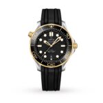 Omega Seamaster Diver 300M Co-Axial 42mm Mens Watch  MPN: O21022422001001