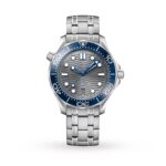 Omega Seamaster Diver 300M Co-Axial Mens Watch  MPN: O21030422006001