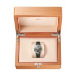 Omega Seamaster Aqua Terra 150M 38mm, Steel on Rubber Strap  MPN: O22012382010001 - Image 5